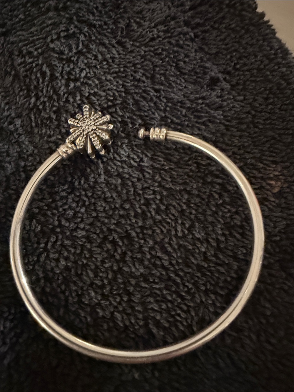 Pandora - Picture 3 of 4